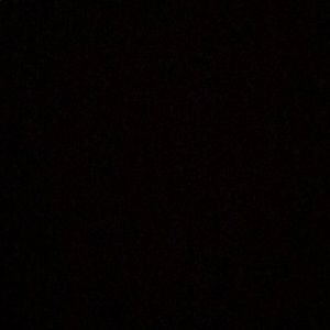 Meet your Posher, Ty